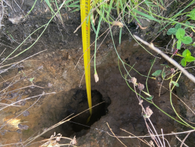 Désordre avant travaux
