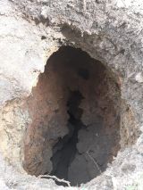 Photo du désordre observé en surface