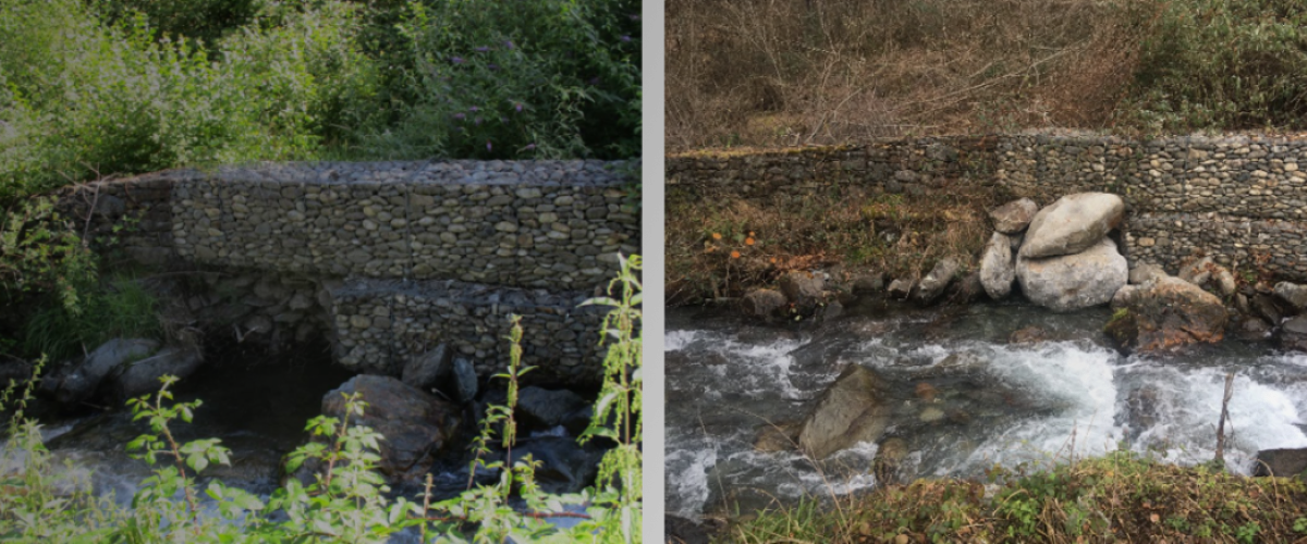 Sentien_Exemple de confortement par gabions
